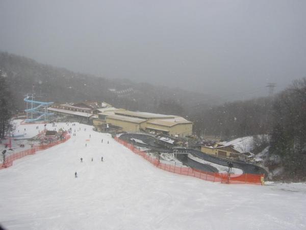 MIdway down Mogul Ridge looking down mountain to the Ober Gatlinburg facilities.