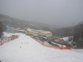 Ober Gatlinburg - MIdway down Mogul Ridge