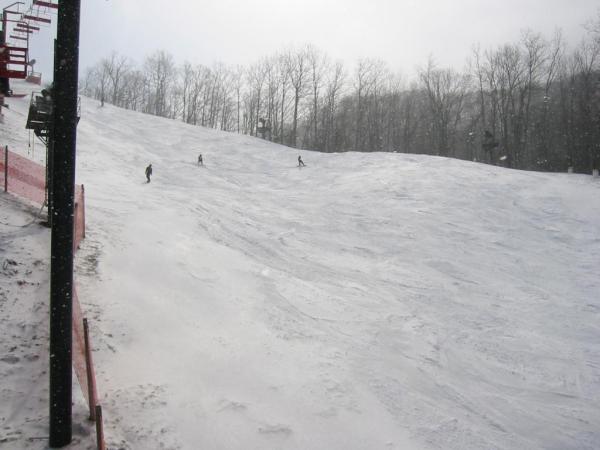 Mogul Ridge from midway down.