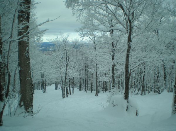 The glades at Sutton