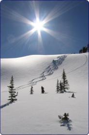 Aspen Mountain - Click Here To Enlarge