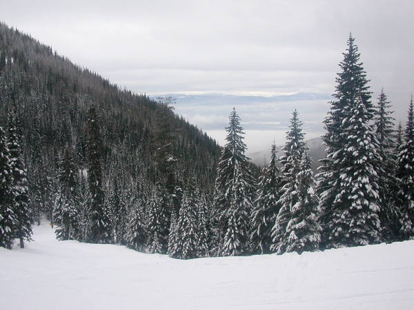The cat track through Hellroaring Basin.