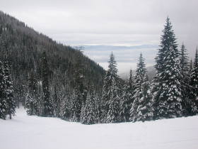 Whitefish - The cat track through