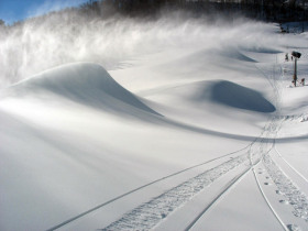 Wisp - Click Here To Enlarge
