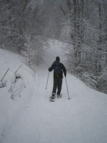 Nendaz-Mont Fort - Snow-shoeing the 6km route