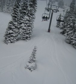 Jackson Hole - Untouched Powder  