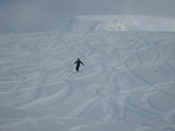 Fresh powder off-piste, above Plan Maison
