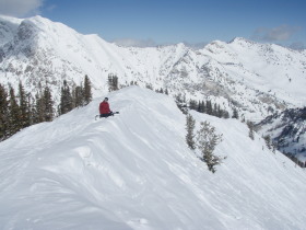 Snowbird - Click Here To Enlarge