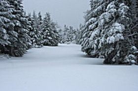 Mount Snow - Click Here To Enlarge