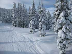 Mt. Bachelor - Click Here To Enlarge