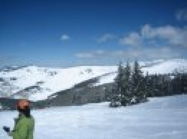 Bluebird day with 30