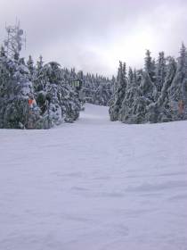 Mount Snow - Summit to North Face