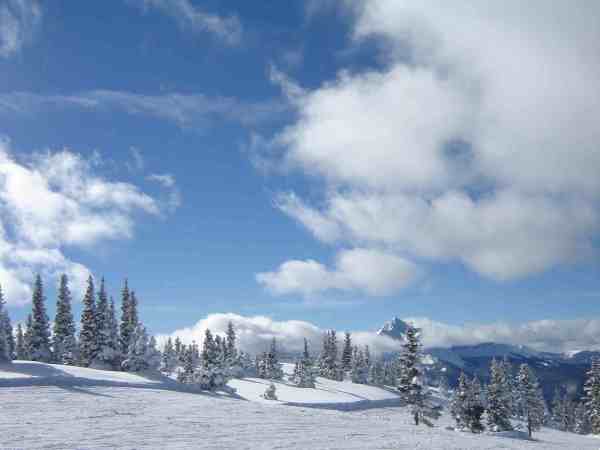 Top of Lift 12