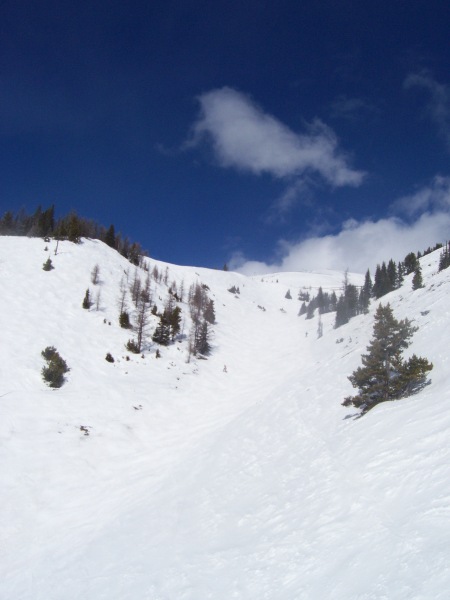 awesome bumps