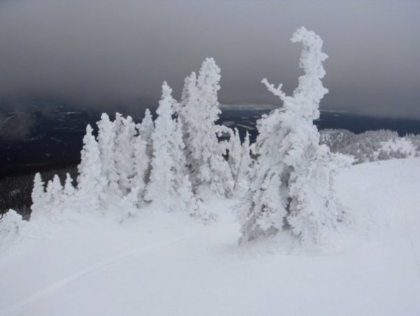 The Snow Ghosts
