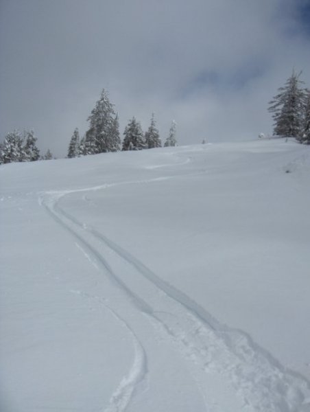 Fresh tracks from my girlfriend's skis.