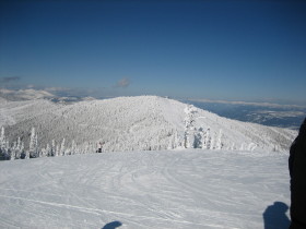 Schweitzer - Great Escape Quad -