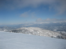 Schweitzer - Stella Six-Pack - View