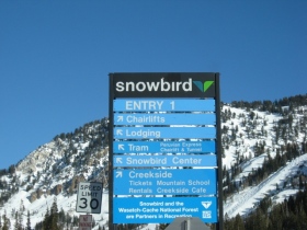 Snowbird - Click Here To Enlarge