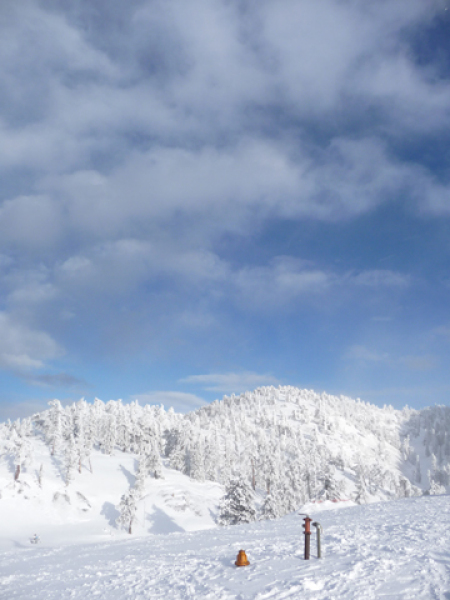 Actual powder day!