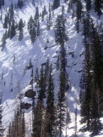 Crested Butte - 