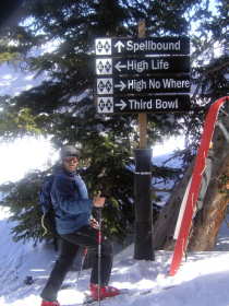 Crested Butte - oops! no greens up