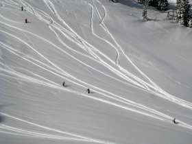 Snowbird - Road to Provo/Mark Malu