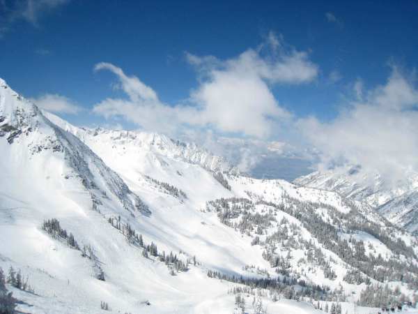 view from top of the Tram