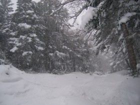 Sugarbush - 
