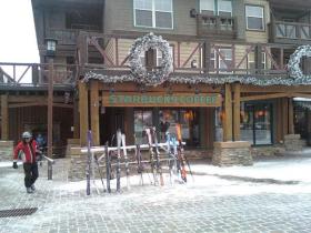 Snowshoe - Why is there always