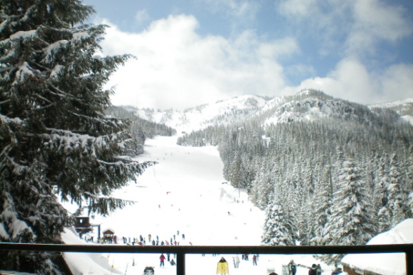 Perfect powdery day!