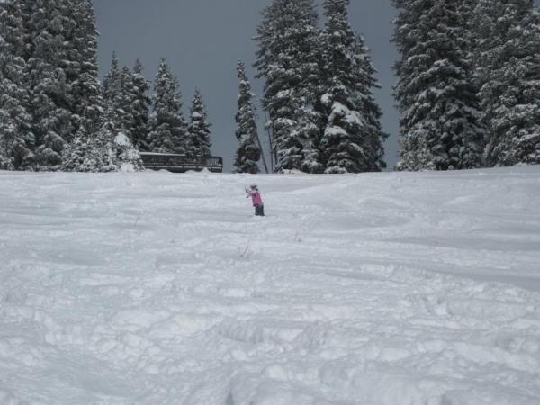 My wife in powder up to her knees on the sundown bowl- And she was moving!  When you stop it was usually waist deep!