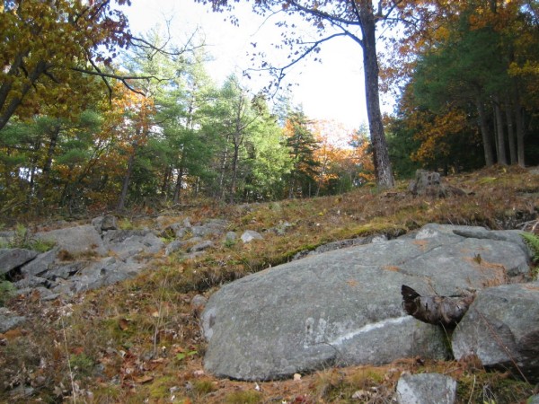 Upper Beatnik, 10/25/2009
