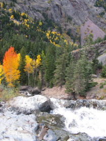 Durango - There are tons of