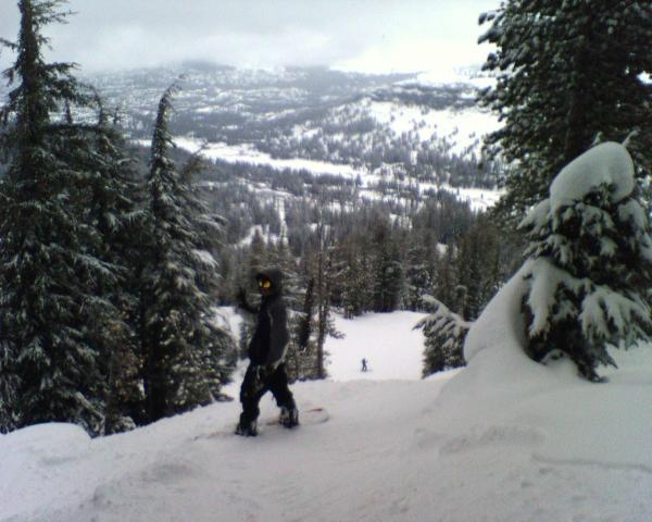 Great tree run