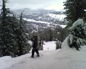 Kirkwood - Great tree run 