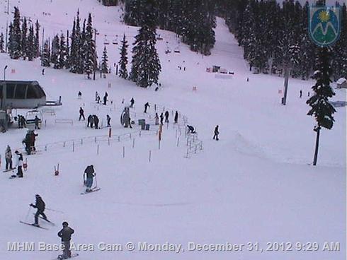 USDA Cam