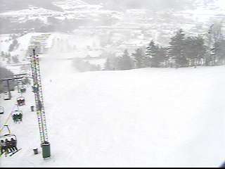 Face, Pro Terrain Park & Squirrel Cage