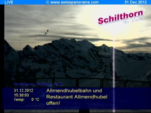 All live pictures are under copyright by <a href=