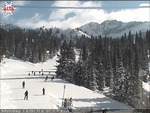Alta - Albion Basin Cam 