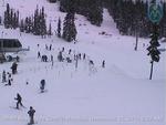 Mt. Hood Meadows - USDA Cam  