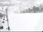 Wisp - Face, Pro Terrain Park
