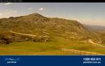 Perisher - Blue Cow  