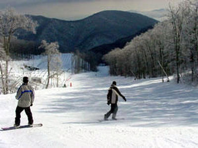 Wintergreen