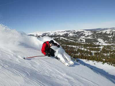 Wolf Creek