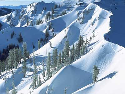 Alpine Meadows