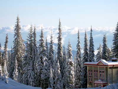 Silver Star Resort