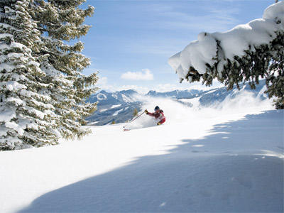 Deep Powder In Beaver Creek