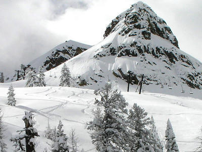 Bear Valley Splendor
