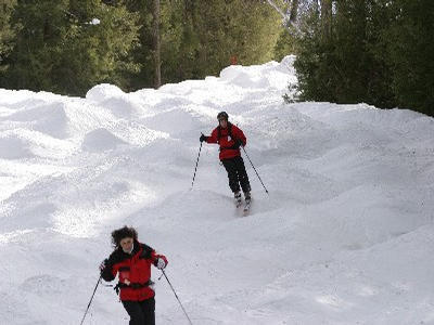 Patrollers in the Bumps